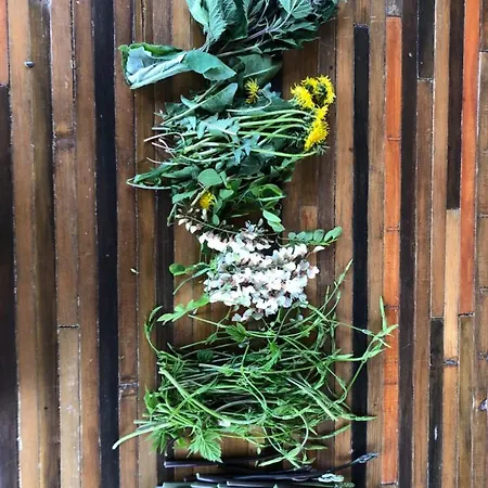 Oda ve Kahvaltı La Casa Nel Bosco