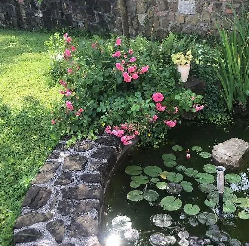 La Casa Nel Bosco غوريزيا