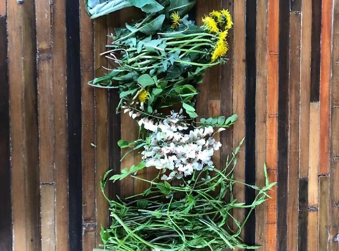 فندق مبيت وإفطار La Casa Nel Bosco